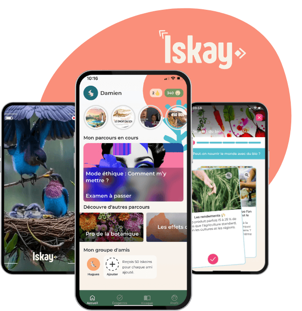 Illustration : visuels de l'application
